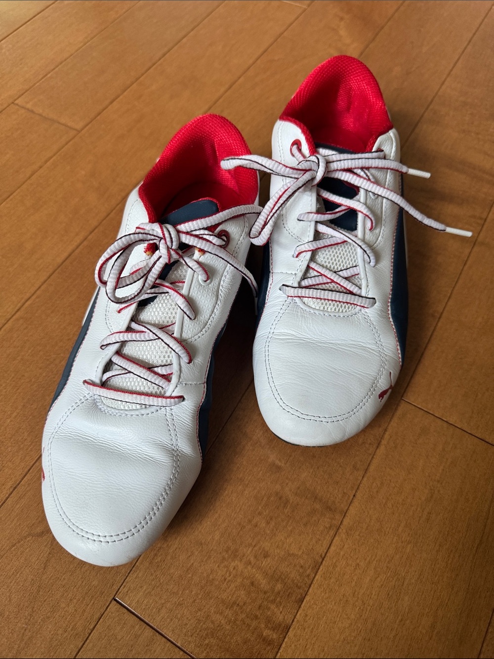 BWM Puma Motorsport Shoes in 8